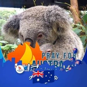 Meet your Posher, Hossain